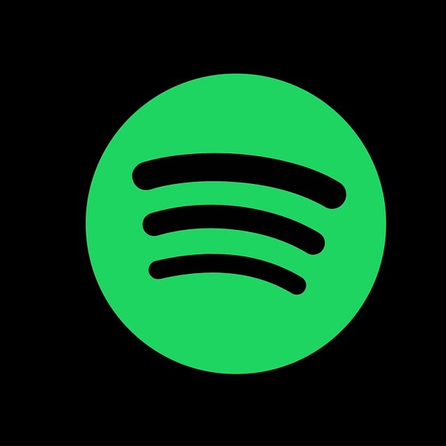 Fresh Spotify account with Email verified
